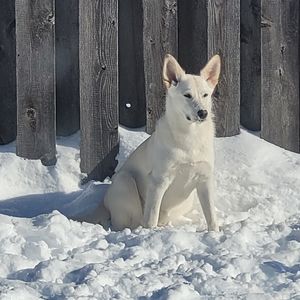 Meet your Posher, Vincent